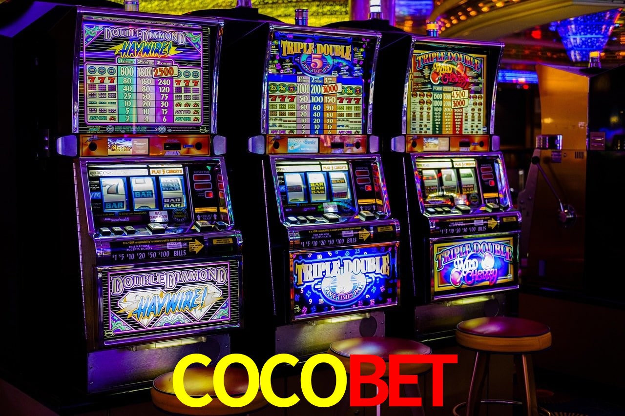 Sports Statistics COCOBET